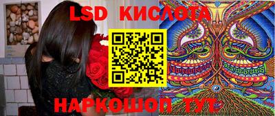 сатива Краснодар