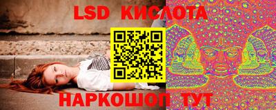 сатива Краснодар