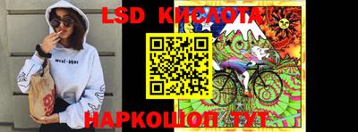 сатива Краснодар