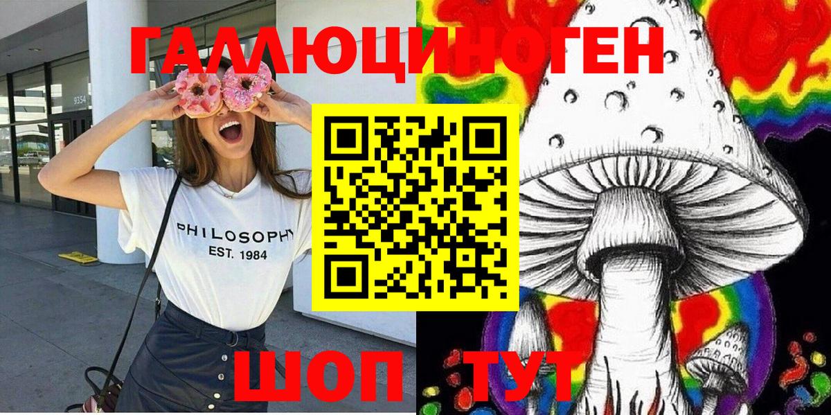 Галлюциногенные грибы Psilocybine cubensis  закладка  Ипатово  Псилоцибиновые грибы MAGIC MUSHROOMS  Вход с VPN 